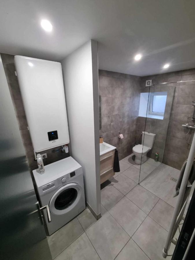Appartement Le Crozatier سانت جورج المظهر الخارجي الصورة